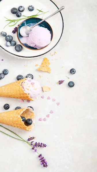 Organic Blueberry Ice Cream Neutral Background Concept Organic Food Top — Zdjęcie stockowe