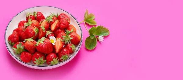 Strawberries Color Background Concept Organic Food Panorama Copy Space — Fotografia de Stock