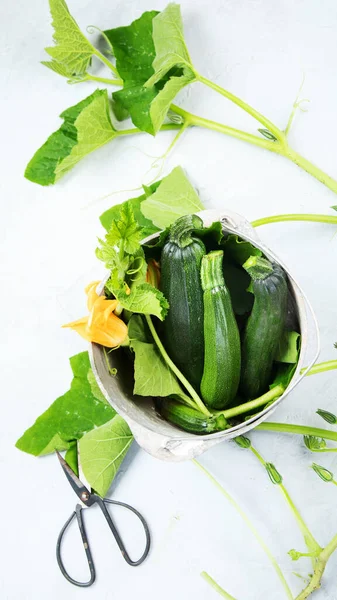 Composition Zucchini Neutral Background Popular Component Healthy Diets Top View — Stock Photo, Image