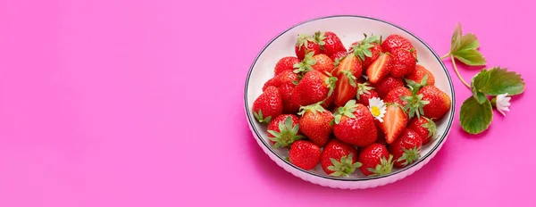Strawberries Color Background Concept Organic Food Paoramma Copy Space — Fotografia de Stock