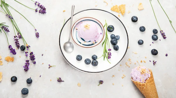 Organic blueberry ice-cream on neutral background. Concept of organic food. Top view