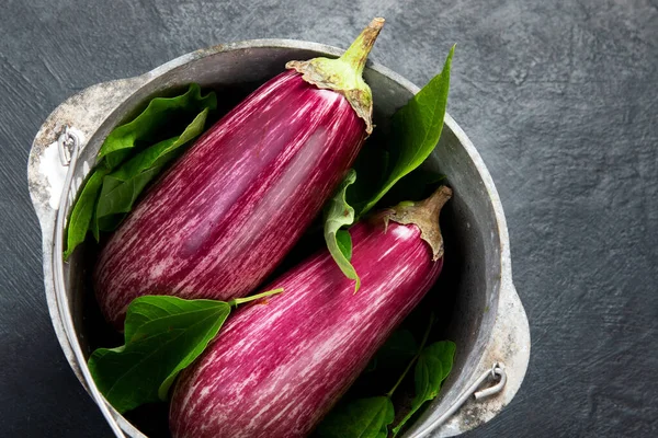 Fresh Aubergine Eggplant Gray Background Popular Component Healthy Diets Top — Stock Photo, Image