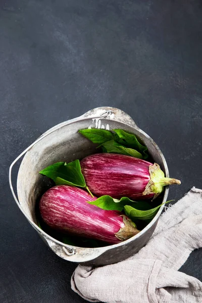 Fresh Aubergine Eggplant Gray Background Popular Component Healthy Diets Top — Stock Photo, Image