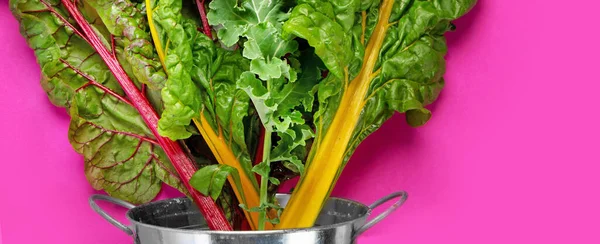 Fresh Green Curly Kale Leaves Pink Background Healthy Food Ingredients — Zdjęcie stockowe