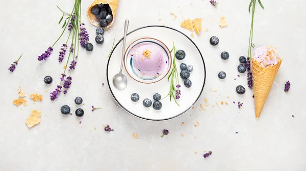 Organic Blueberry Ice Cream Neutral Background Concept Organic Food Top — Stock fotografie