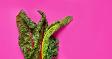 Fresh green curly kale leaves on pink background. Healthy food ingredients. Top view, copy space