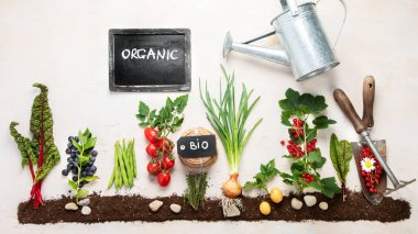 Springtime gardening composition on neutral background. Organic vegetables, berries and garden tools. Top view, copy space