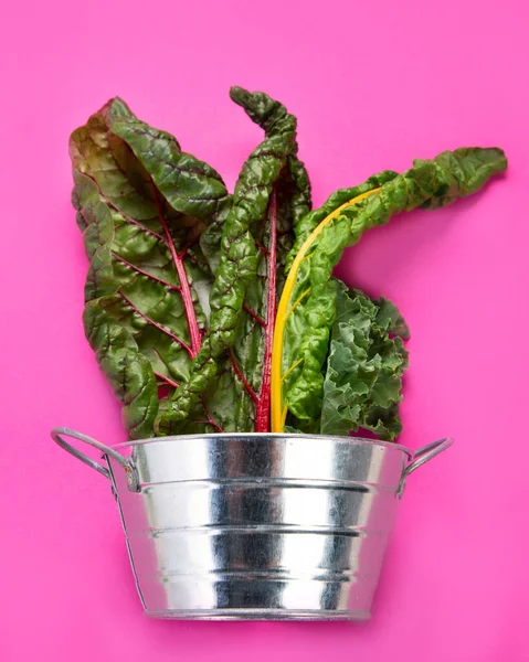 Fresh Green Curly Kale Leaves Pink Background Healthy Food Ingredients — Stockfoto