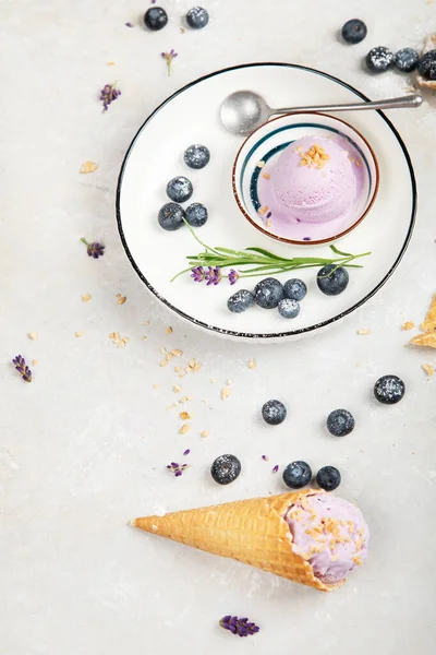 Organic Blueberry Ice Cream Neutral Background Concept Organic Food Top — Fotografie, imagine de stoc