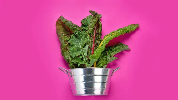 Fresh Green Curly Kale Leaves Pink Background Healthy Food Ingredients — ストック写真