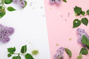 Beyaz ve pembe arka plan ve leylak çiçekleri. Bahar doğal arka plan. Üst görünüm, düz görünüm, kopyalama alanı