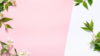 Jasmine flowers on pink background. Can be used as greeting card or wedding invitation. Top view, flat lay, copy space
