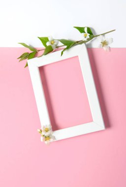 Yasemin çiçekleri pembe arka planda. Tebrik kartı ya da düğün davetiyesi olarak kullanılabilir. Üst görünüm, düz görünüm, kopyalama alanı