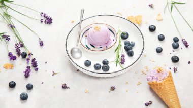 Organic blueberry ice-cream on neutral background. Concept of organic food. 
