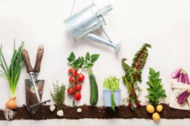 Springtime gardening composition on neutral background. Organic vegetables, berries and garden tools. Top view, copy space