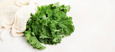 Fresh green curly kale leaves on neutral background. Healthy food ingredients. panorama, copy space