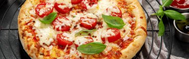 Freshly baked pizza on dark background. Tasty homemade food concept. panorama