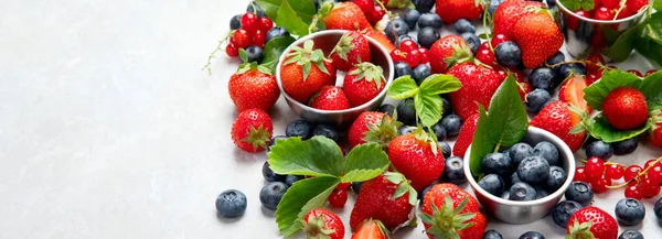 Various Fresh Berries Neutral Background Organic Valuable Food Source Panorama — Foto Stock