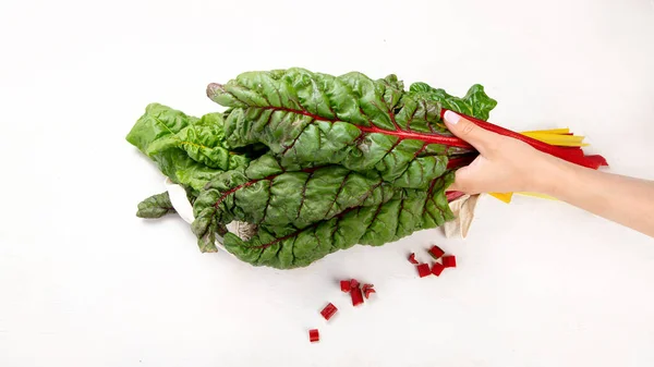 Raw Chard Light Background Highly Nutritious Leaves Popular Component Healthy — ストック写真