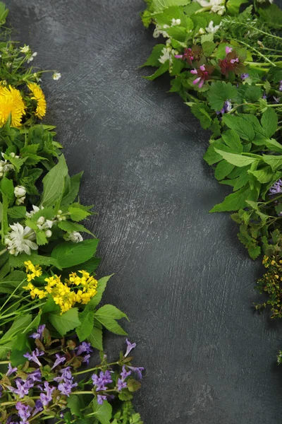 Edible Plants Flowers Dark Background Wild Herbs Sources Carotenoids Flat — Zdjęcie stockowe