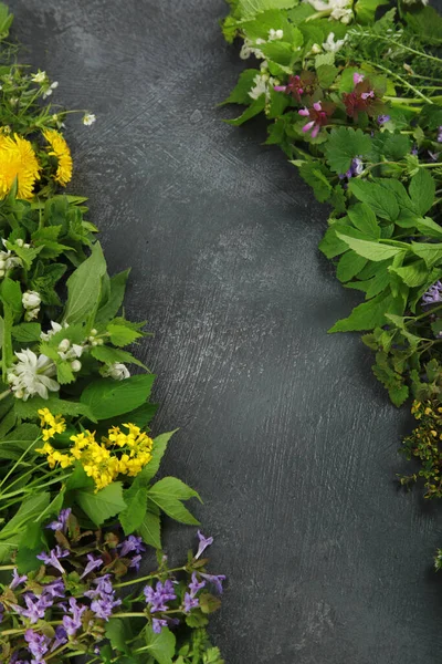 Edible plants and flowers on a dark background. Wild herbs as sources of carotenoids. Flat lay, top view, copy space