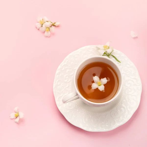 Jasmine Tea Color Background Herbal Tea Concept Top View Flat — Stockfoto