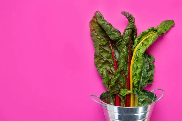 Fresh Green Curly Kale Leaves Pink Background Healthy Food Ingredients — Stockfoto