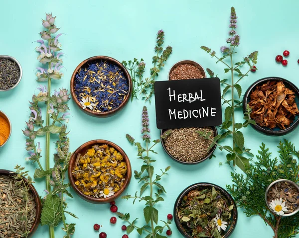 Alternative Herbal Medicine Green Background Homeopatic Flower Herbs Remedies Top — ストック写真