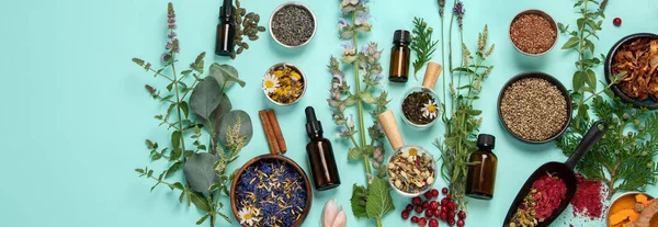 Alternative Herbal Medicine Green Background Homeopatic Flower Herbs Remedies Top — Stockfoto