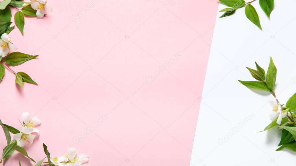 Jasmine flowers on pink background. Can be used as greeting card or wedding invitation. Top view, flat lay, copy space