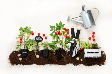 Springtime gardening composition on neutral background. Organic vegetables, fruits and garden tools. Top view, copy space