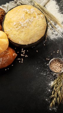 Bread assortment on dark background. Fresh homemade pastry. Top view, copy space