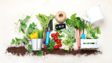 Raw vegetables composition with garden tools on light background. Raw healthy snacks from backyard. Top view, flat lay, copy space.