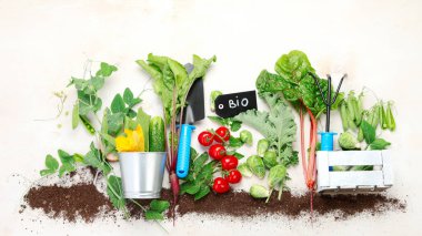 Raw vegetables composition with garden tools on light background. Raw healthy snacks from backyard. Top view, flat lay, copy space.