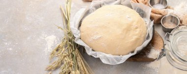 Tarafsız arka planda bir kasede çiğ hamur tatlısı. Ev yapımı biyolojik gıda konsepti. panoramma