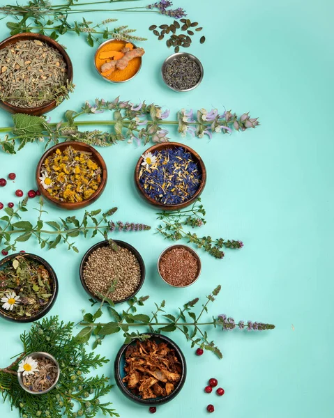 Alternative Herbal Medicine Green Background Homeopatic Flower Herbs Remedies Top — Foto de Stock