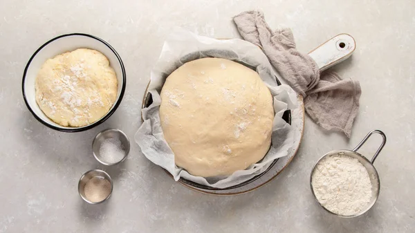 Roher Teig Einer Schüssel Auf Neutralem Hintergrund Hausgemachtes Bio Food — Stockfoto