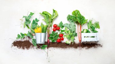 Raw vegetables composition with garden tools on light background. Raw healthy snacks from backyard. Top view, flat lay, copy space.