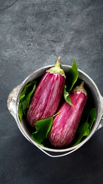 Fresh Aubergine Eggplant Gray Background Popular Component Healthy Diets Top — Stockfoto