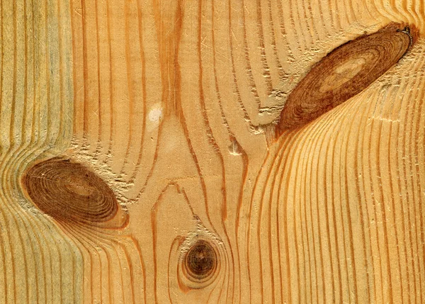 Pine backgroung — Stock Photo, Image