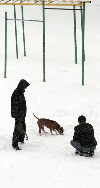 Двое мужчин и собака зимой — стоковое фото