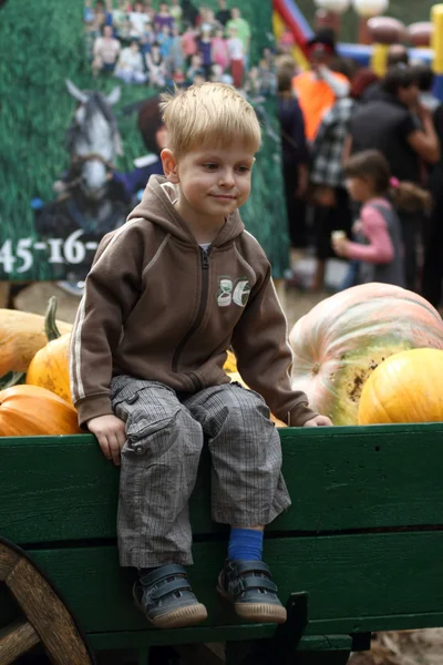 Boy seating on veechickle with pummkins — Stok fotoğraf