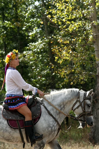 Луганська обласна кінного театру — стокове фото