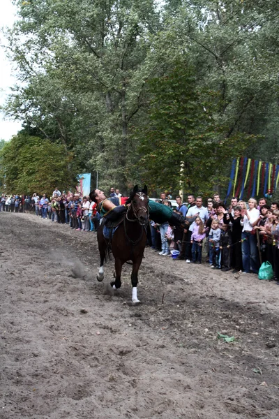 Lugansk regionalny teatr konny — Zdjęcie stockowe