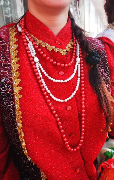 Vestido cossaco ensemble membro — Fotografia de Stock