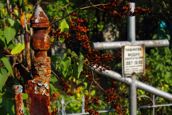 Old Orthodox Cemetery — Stock Photo, Image