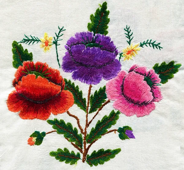 Evlenir Luganskaya Ekim Geleneksel Rus Emboroidery Rusya 19Th Century Sergi — Stok fotoğraf