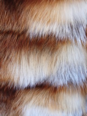 Fur texture clipart