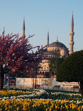 Sultanahmet Camii