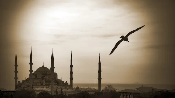Vue aérienne de la Mosquée Bleue — Photo